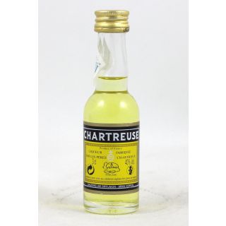 Miniature Yellow Chartreuse