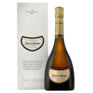 Gran Juvé y Camps - Juvé&Camps (DO Cava)