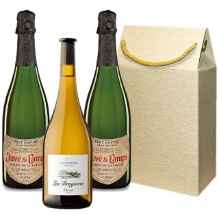 Juvé y Camps Reserva de la Familia Gift Box