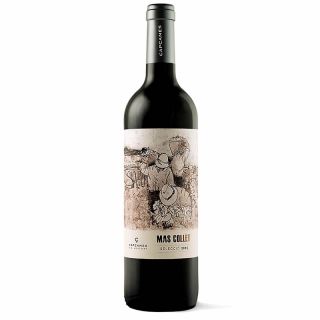 Mas Collet 2021