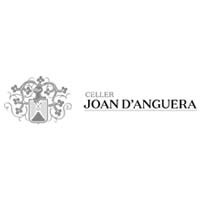 Joan d'Anguera